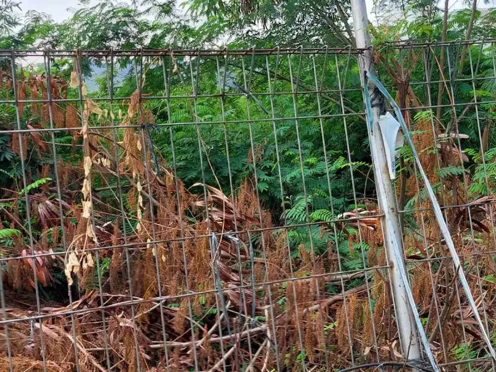 Tanah Luas Siap Bangun Bisnis Baru di Tanah Nempel Sumarecon Bekasi