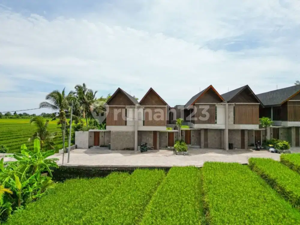For Sale Brand New Villa Tropical Modern Ricefield And River View
