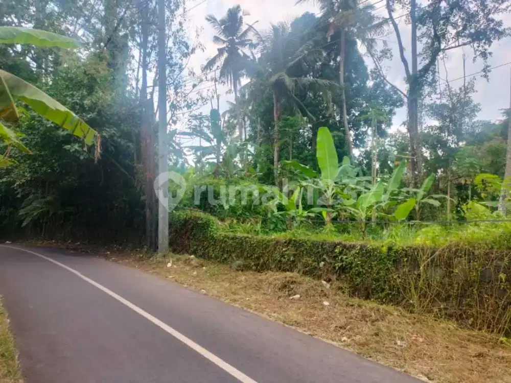 Land For Sale Premium Location At Ubud Gianyar