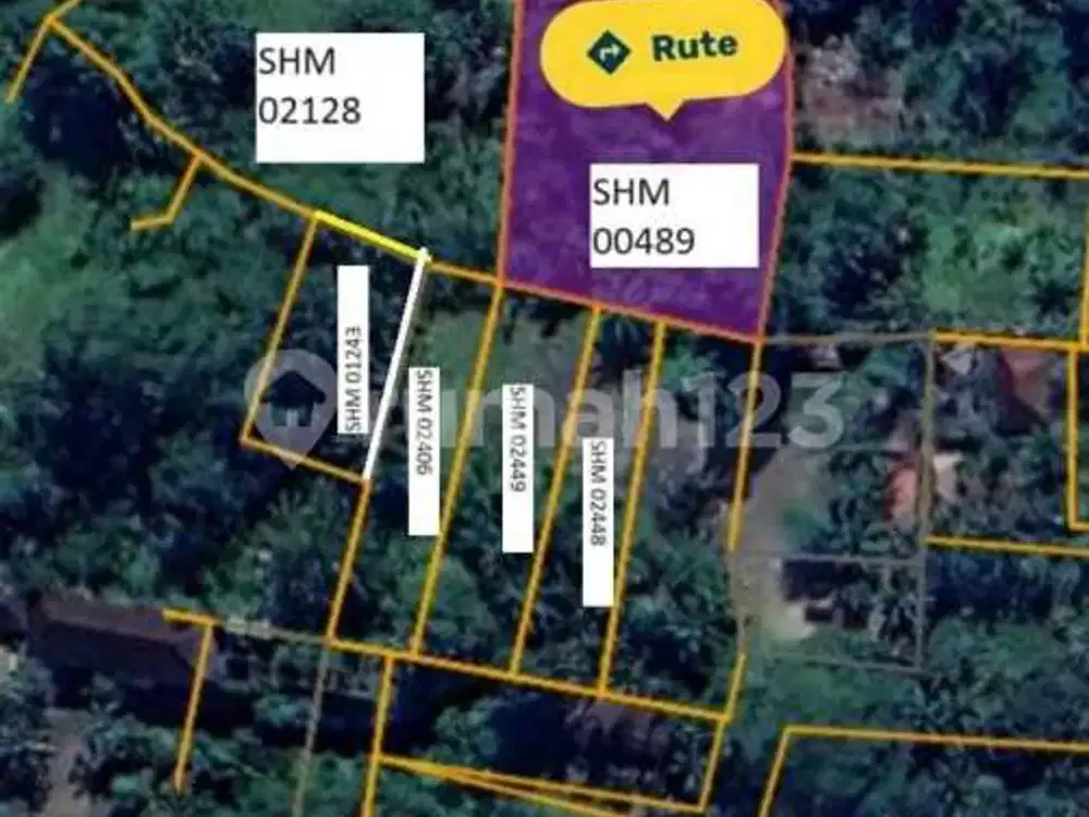 Land For Sale Premium Location Zona Tourism At Ubud