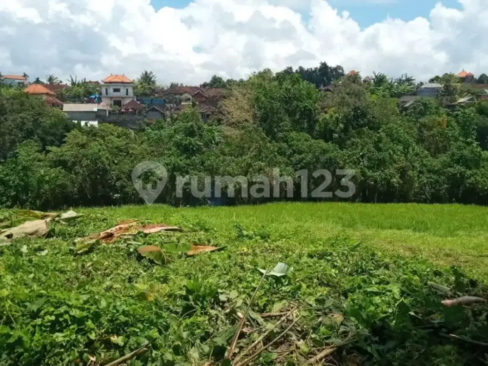 Dikontrakkan Tanah Dekat Pantai di Pecatu Uluwatu