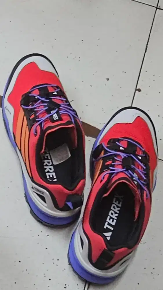 Adidas Terrex Skychaser Goretex Hiking