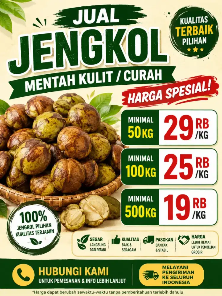 JUAL JENGKOL SEGAR