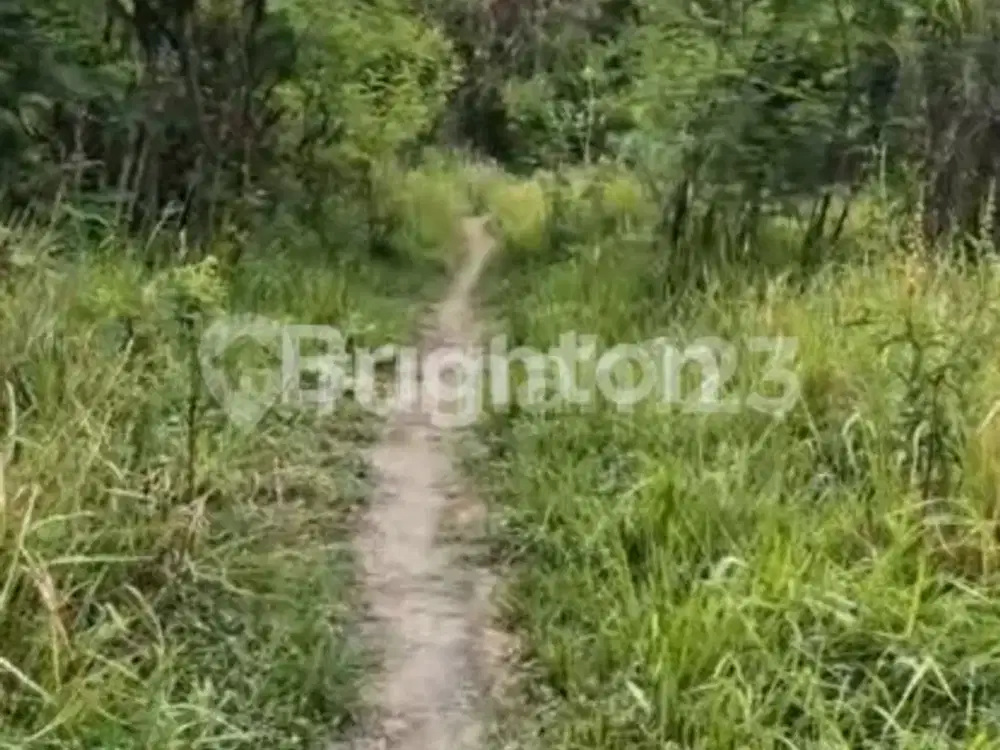 Tanah Luas 260 Are - Jalan Ida Bagus Mantra, Klungkung Lokasi Strategis Seberang Rs Graha Medika Klungkung Bali Cocok untuk Resort /Perumahan