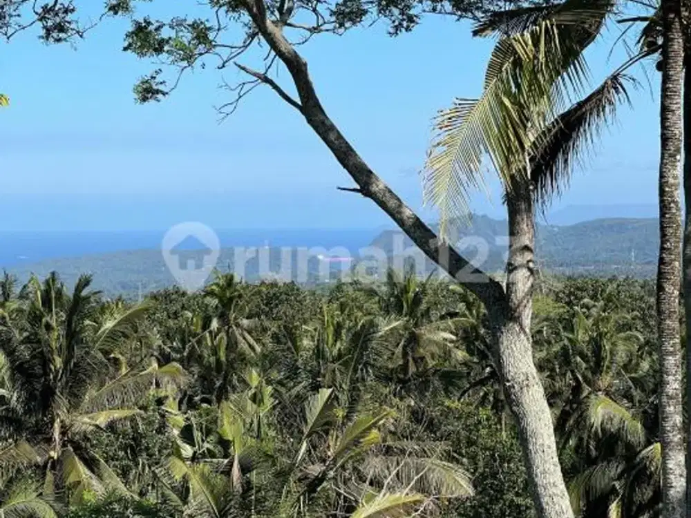 Prime Land 159 Are For Villa & Resort Development - Karangasem Bali