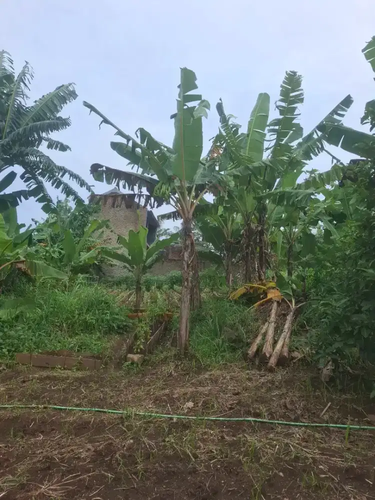 Dijual tanah kavling dah pondasi
