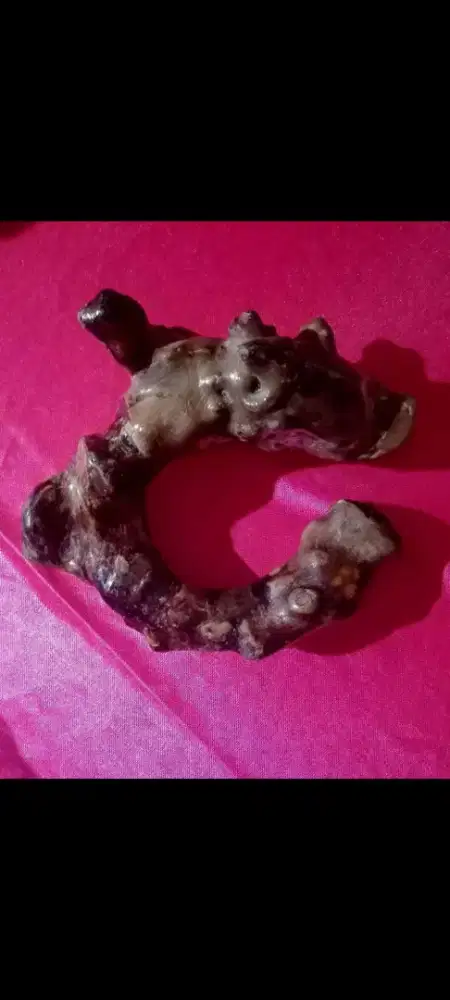 Gelang fo sil akar ba har full membatu super jumbo