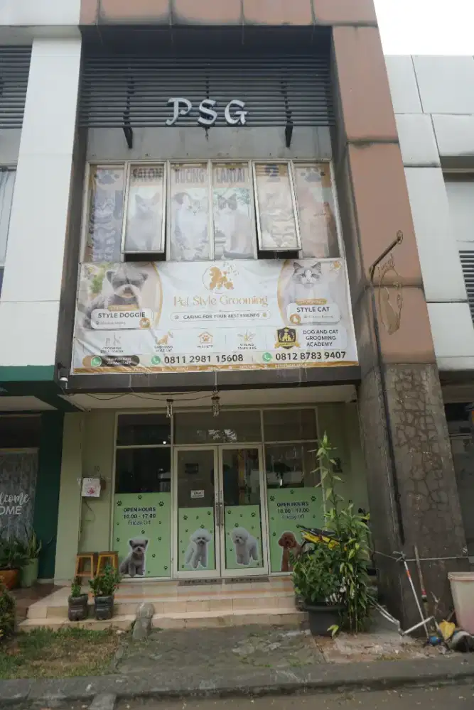 Loker asisten groomer (petshop)