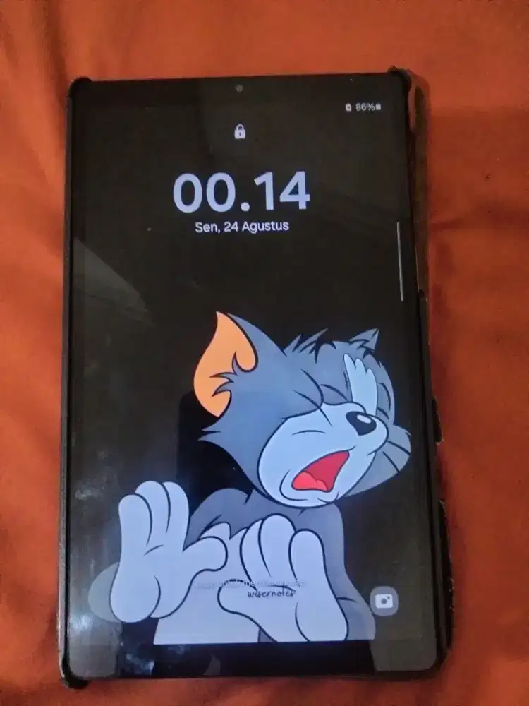 Tab samsung a7lite only wifi
