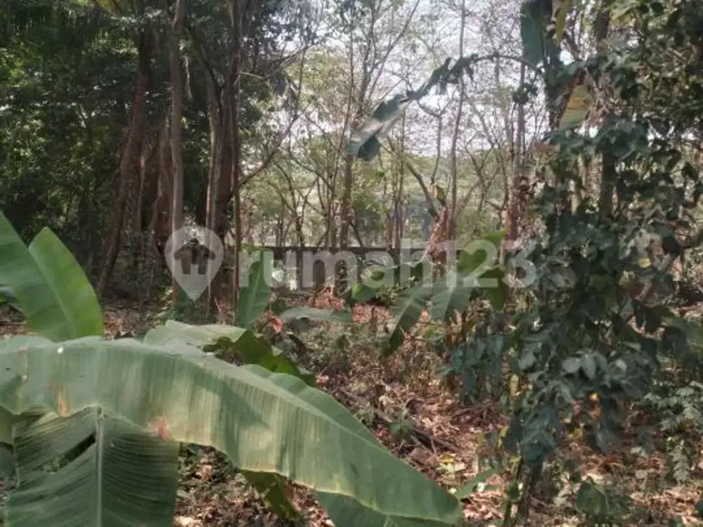 Tanah Kaveling Sterategis Siap Dibangung di Jombang