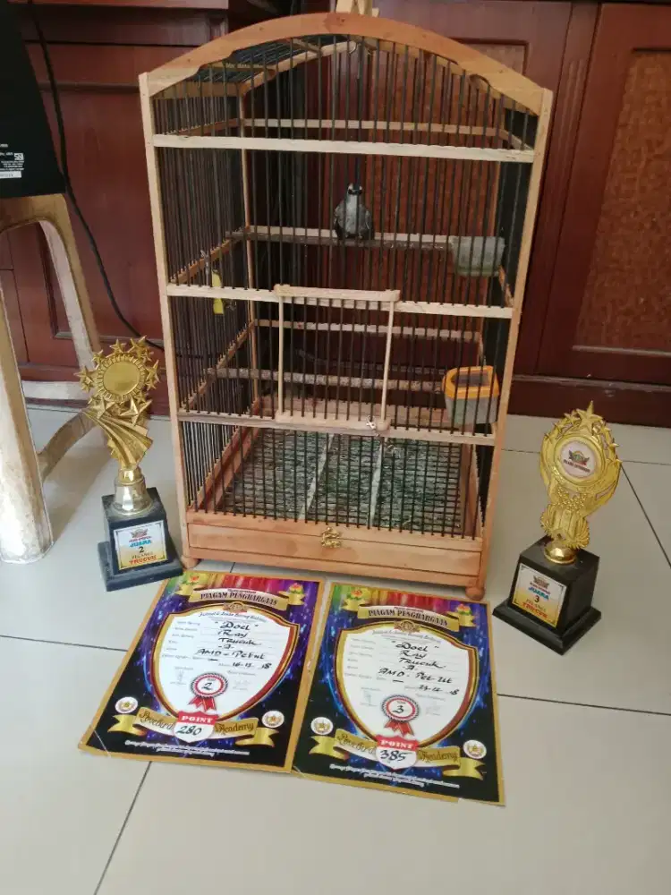 Burung crukcuk madura