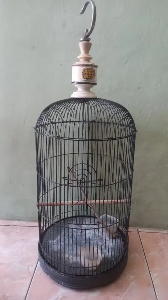 Kandang Love Bird