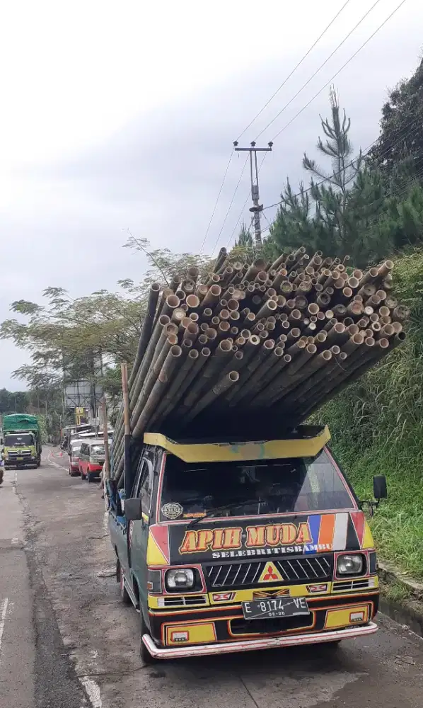 Bambu Tiang Cor | Perancah | Bekisting | 6 meter | siap kirim