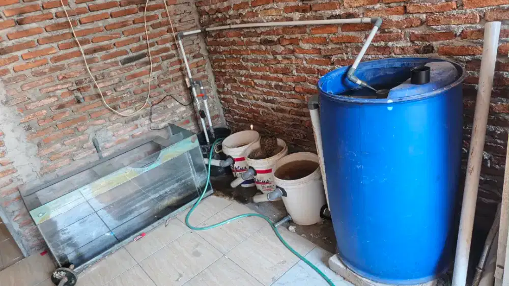 Kolam ikan sistem RAS