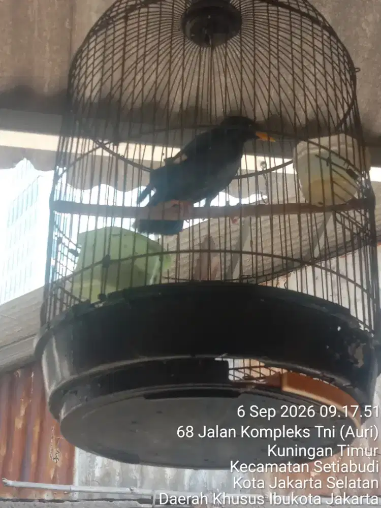 JUAL SANTAI SAMBIL NGOPI