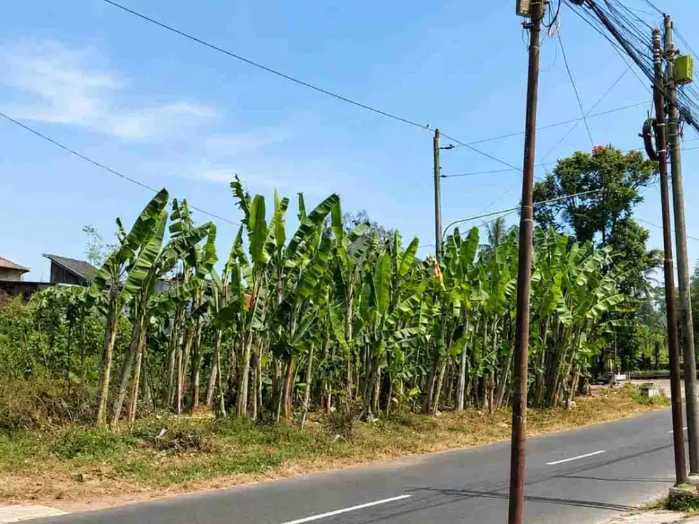 DIJUAL – Tanah SHM 1.830 m² Depan Pertokoan Dekat Pemda Magelang