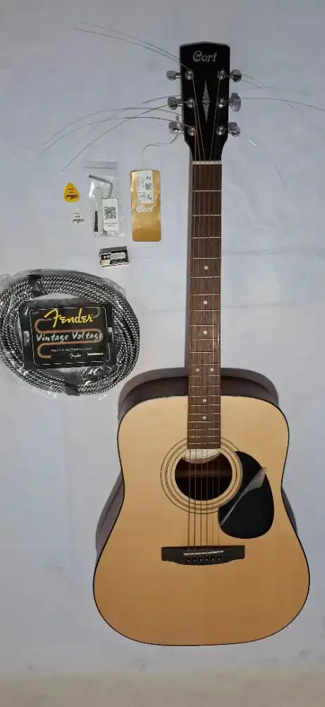 jual iseng santai gitar cort elektrik akustik