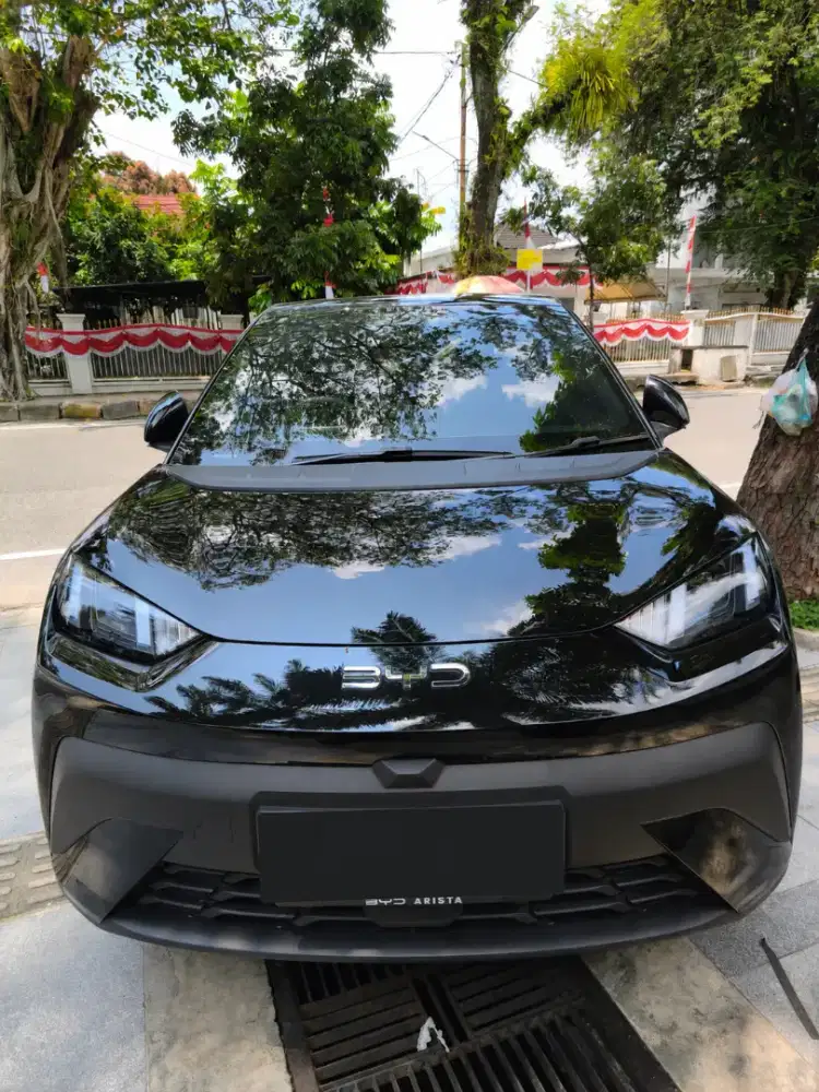 BYD ATTO 1 DYNAMIC
