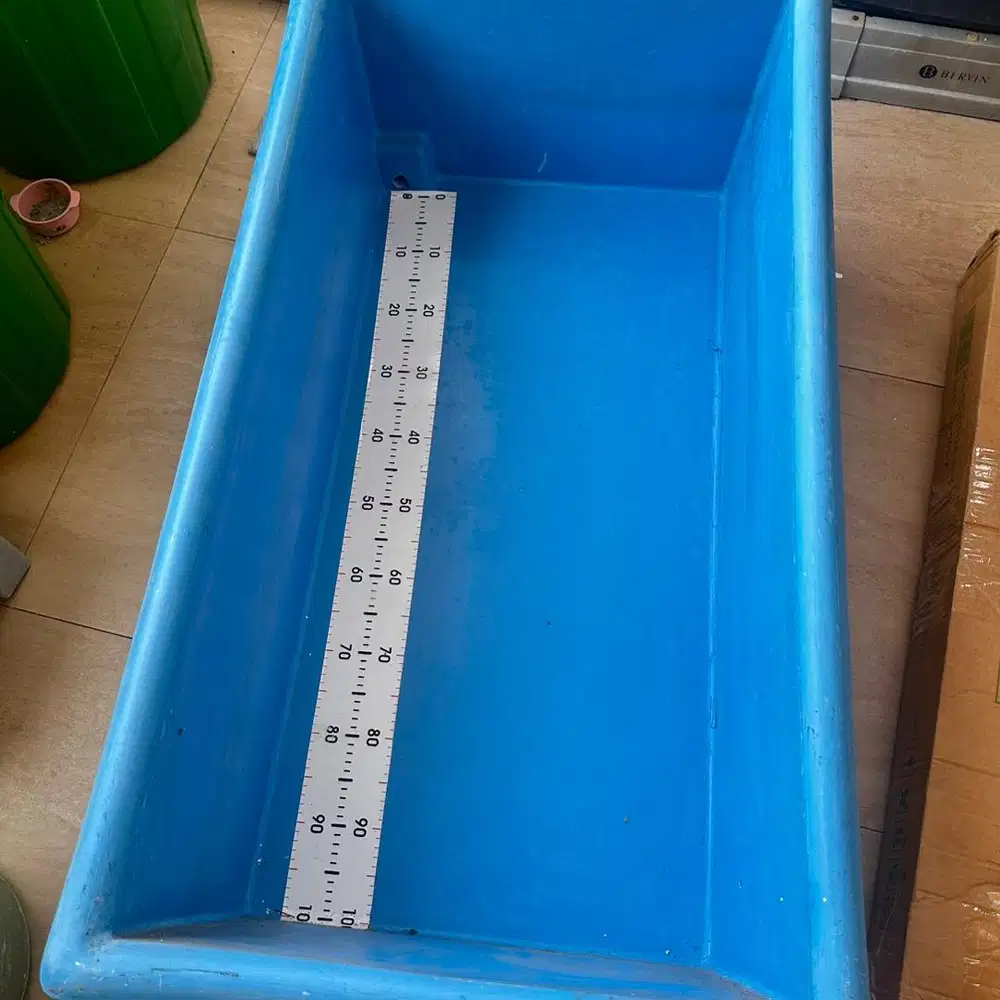 Bak ukur ikan koi