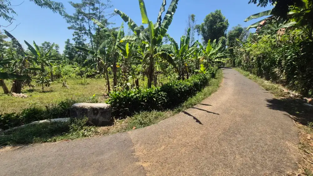 DIJUAL TANAH STRATEGIS CIBUNTU – WANAYASA, PURWAKARTA
