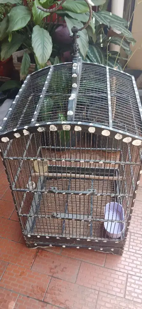 Kandang kayu siap pakai