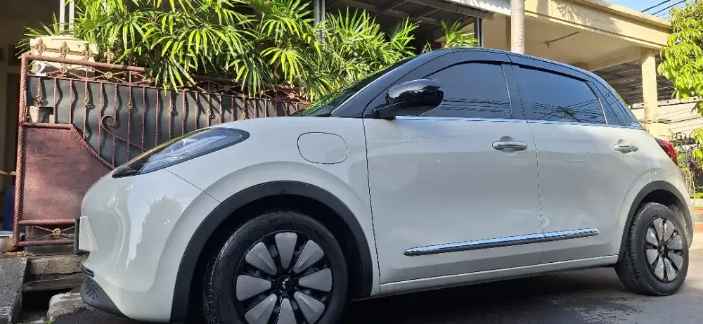 WULING BINGUO E260 EV410 LONG RANGE