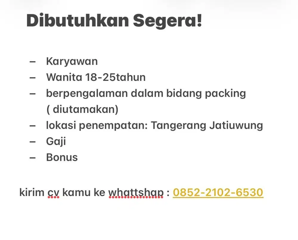 Staff Packing Gudang