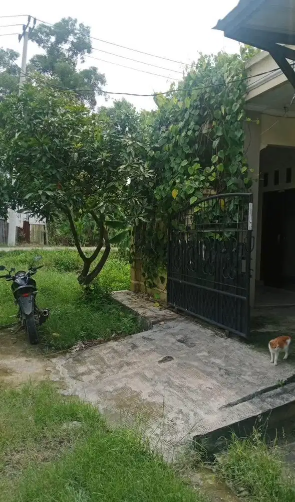 Dijual Cepat Rumah Termurah Belakang Grand Wisata