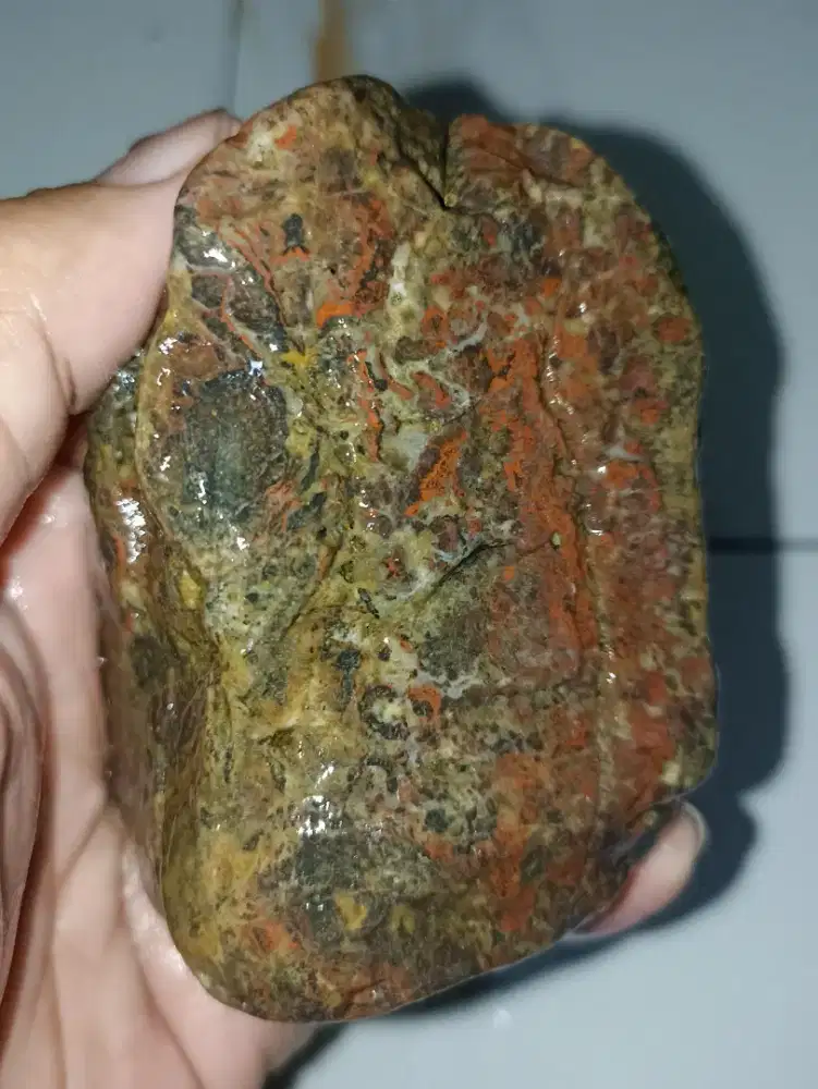Bahan Tunggalan BADAR BESI Pancawarna
