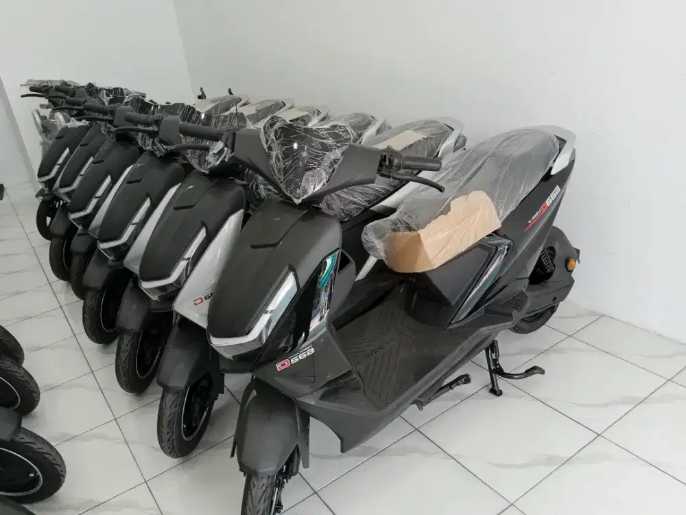 sepeda listrik d66b
