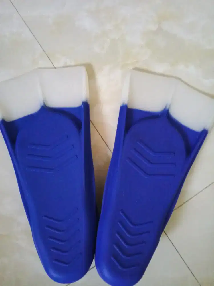 Kaki Katak Fraser