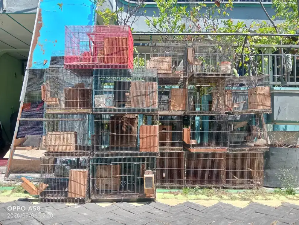 Kandang besi ukuran 60*40 layak pakai