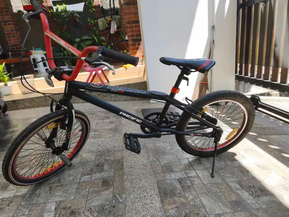 Sepeda Anak Pacific 20'