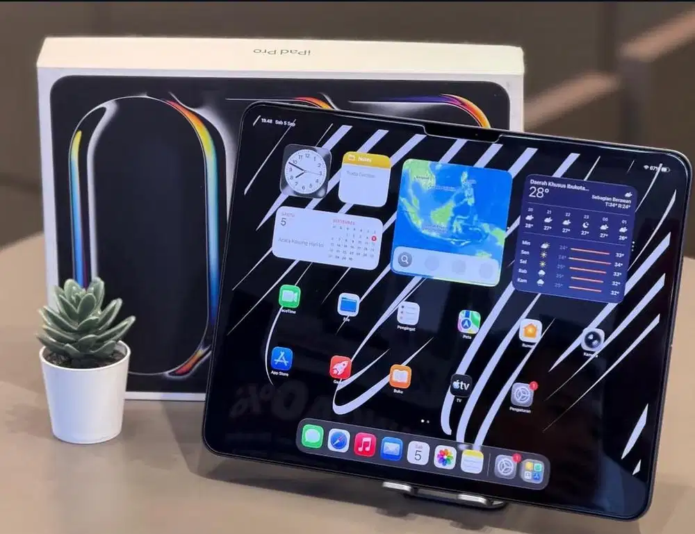 IPad Pro M4 256Gb 13 inch