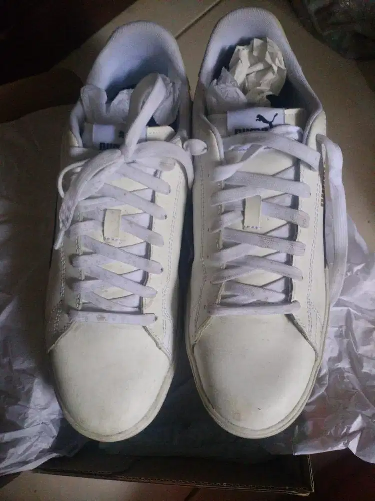 puma sneakers daily