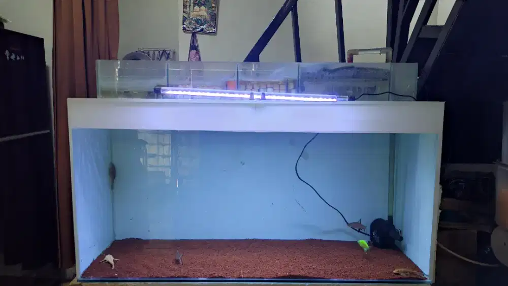 Aquarium 100x40x50 full 8ml fulset