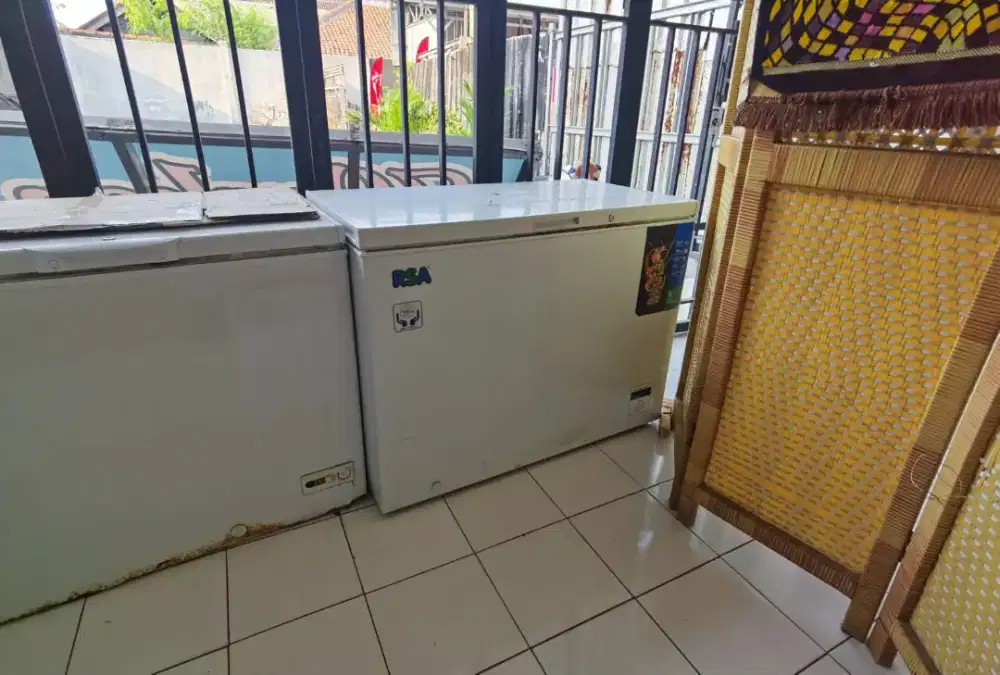 FREEZER RSA BOX 300 LITER