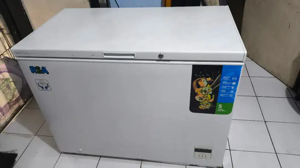 Chest Freezer RSA CF-310Q