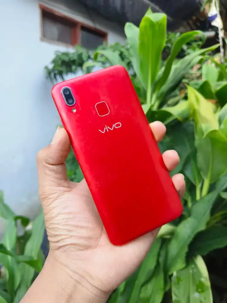 Vivo Y91 Mulusss No Minus