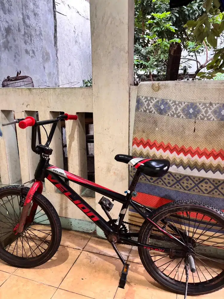 SEPEDA ANAK STANDAR