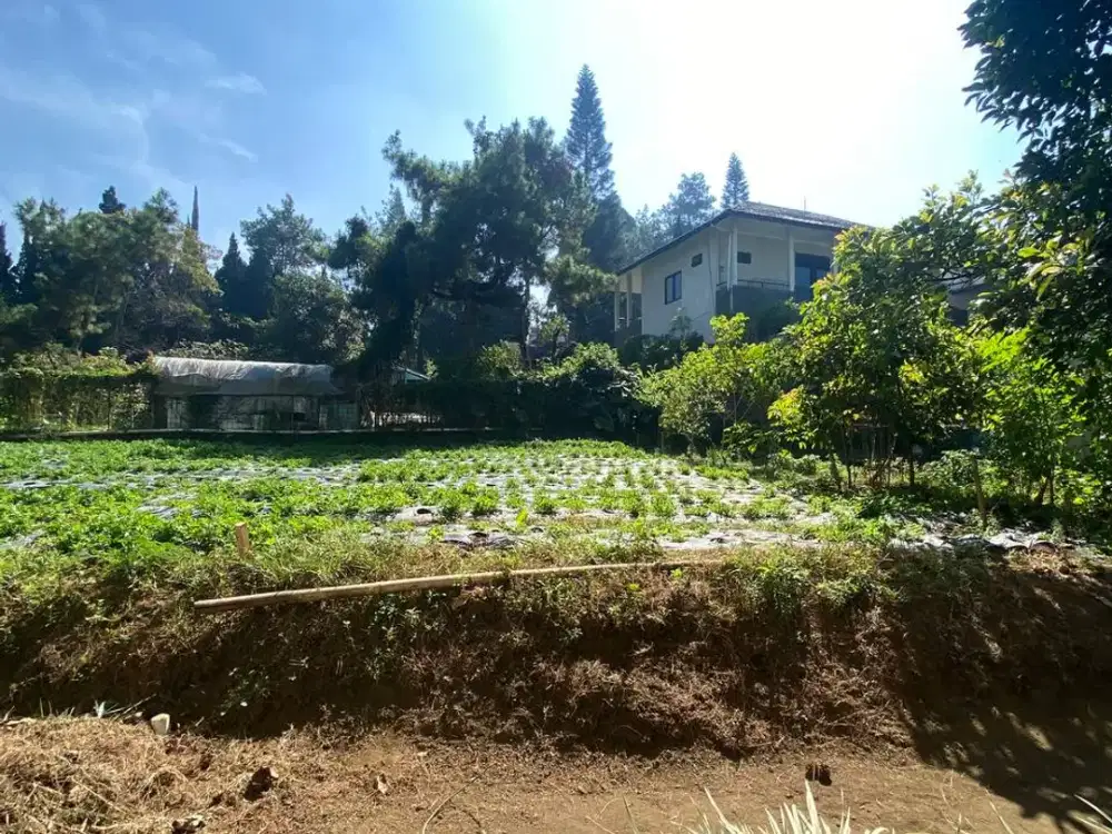 Dijual Tanah Kavling Murah Di Villa Istana Bunga Lembang