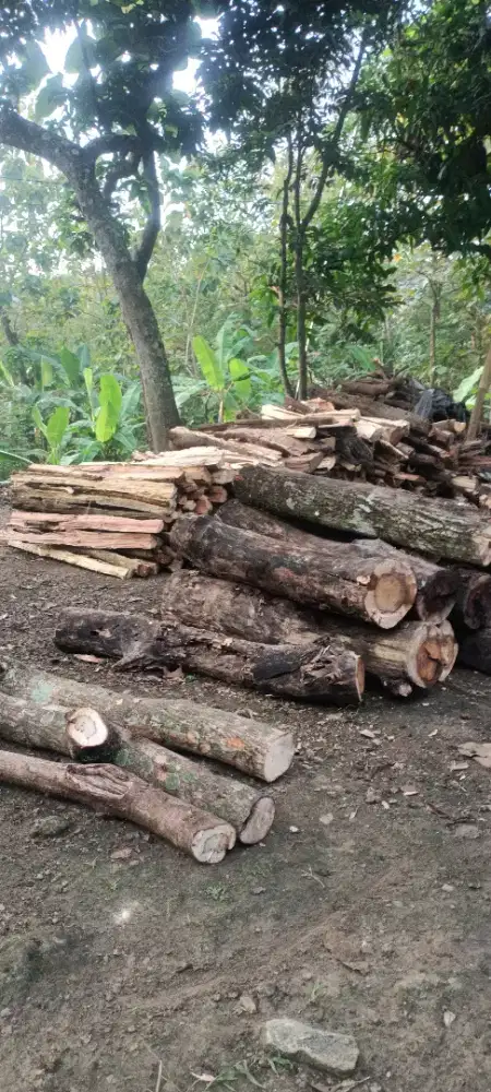 Jual kayu bakar