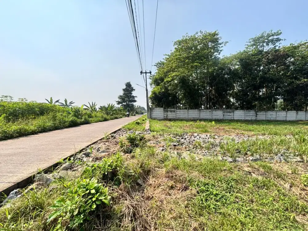 12 Menit ke Stasiun Cisauk, Tanah Dijual 1 Juta-an/m2