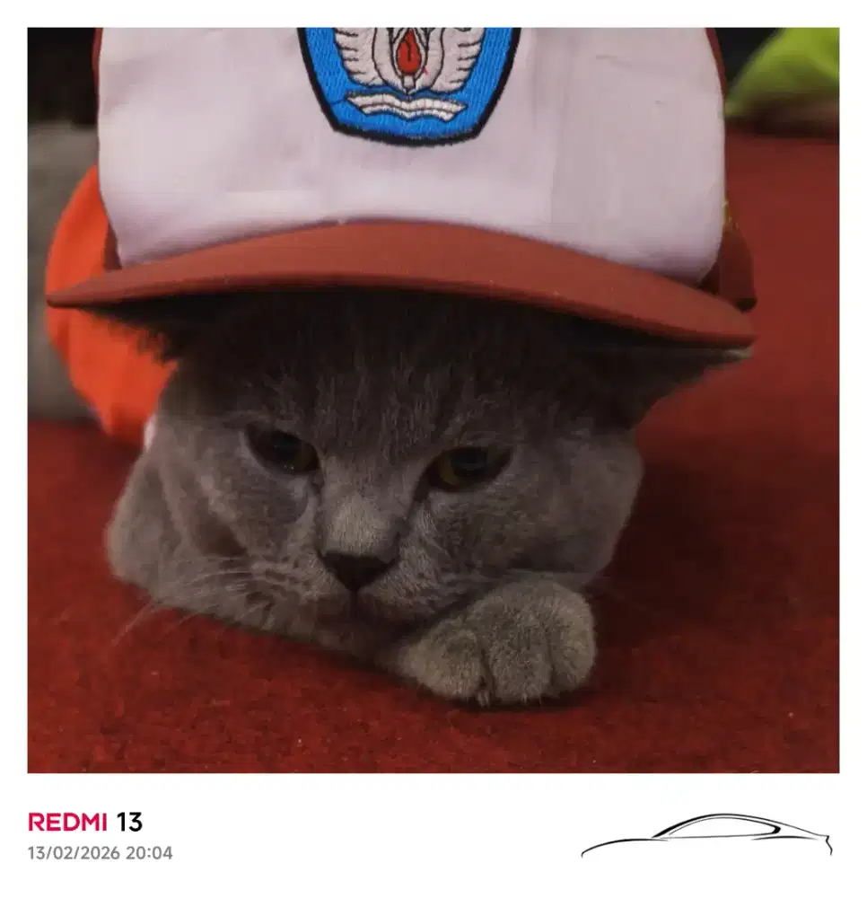 Open adopsi BSH