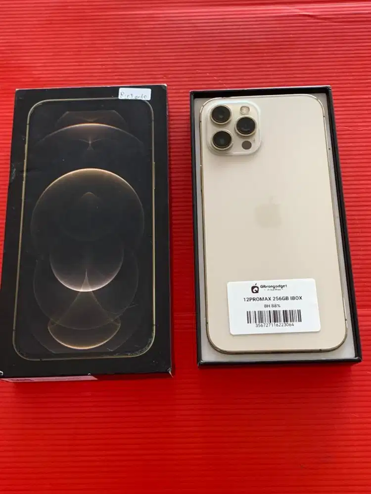 12 PROMAX 256GB EX IBOX