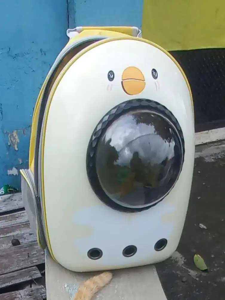Tas Kucing Cantik