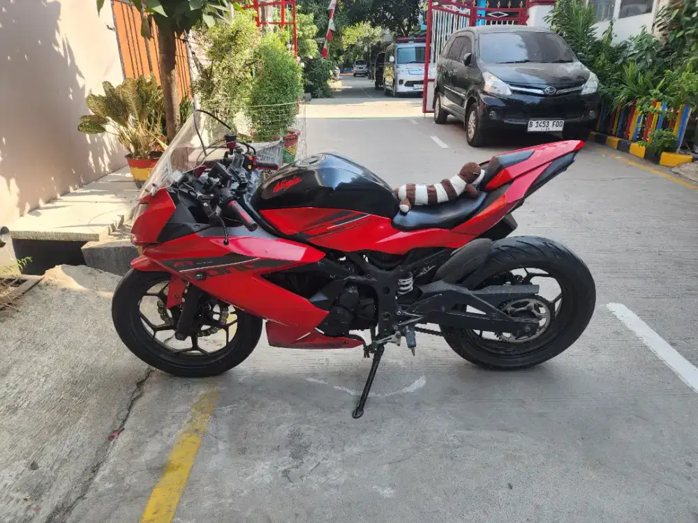 Kawasaki Ninja 250 Mono