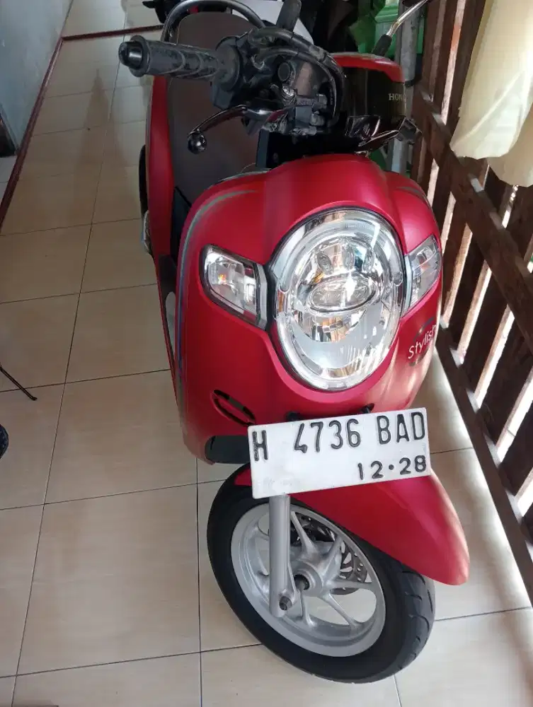 Scoopy staylis ISS 2018