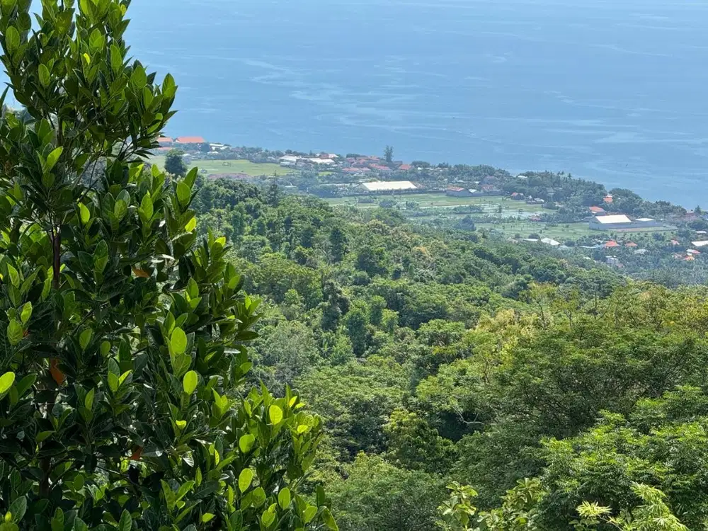 Dijual Tanah Lokasi Strategis Untuk Vila View Gunung