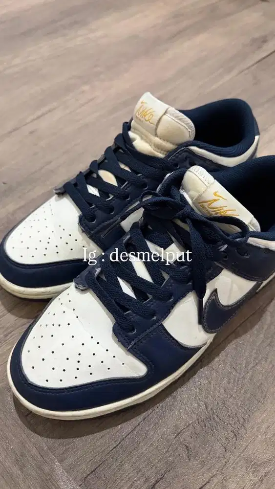 Nike Dunk Low Next Nature FZ6770-001 Original